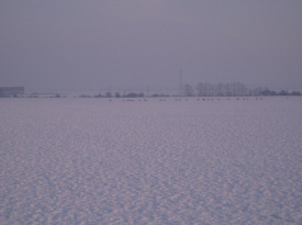 Zima v PLCHU 2006